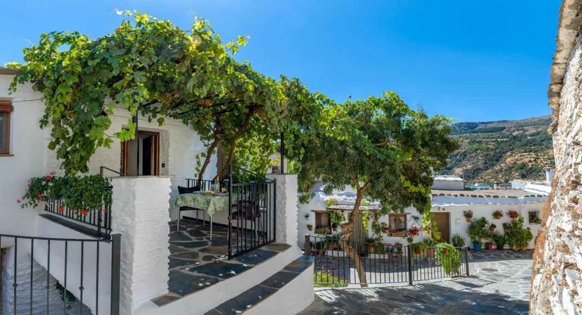 Apartament Casa Antonia Capileira La Alpujarra Zewnętrze zdjęcie