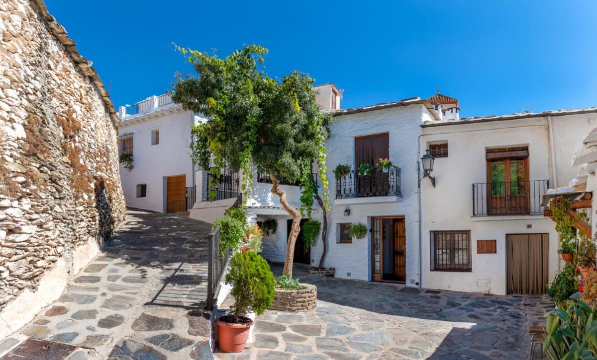 Apartament Casa Antonia Capileira La Alpujarra Zewnętrze zdjęcie