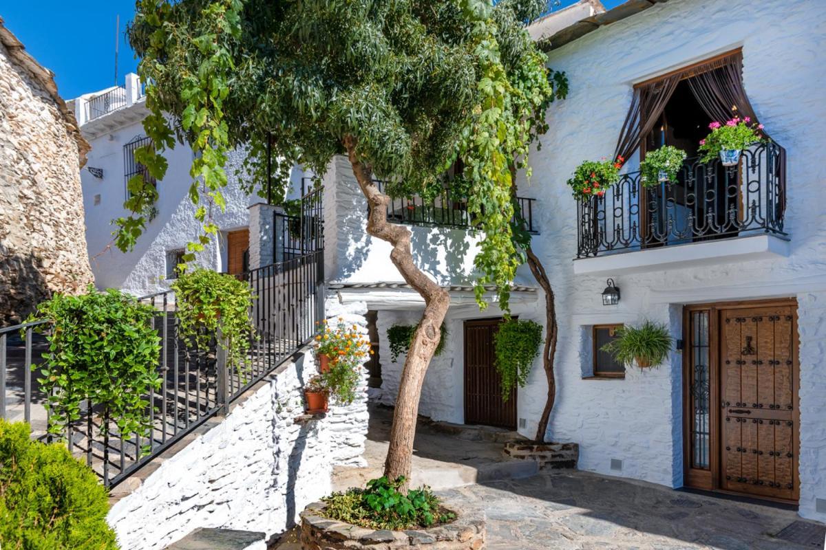 Apartament Casa Antonia Capileira La Alpujarra Zewnętrze zdjęcie